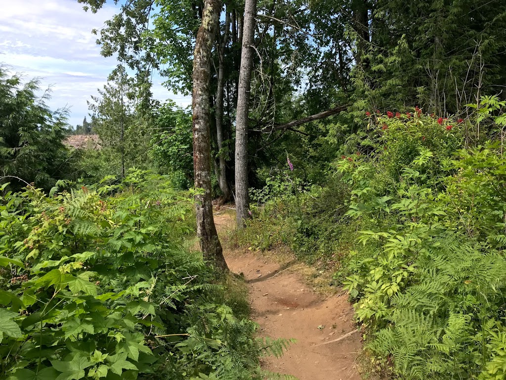 Galbraith Mountain | Tower Rd, Bellingham, WA 98229, USA | Phone: (360) 778-7000
