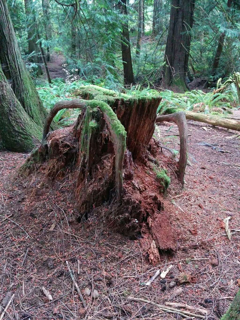 Goy Park | 1J2, Prospect Lake Rd, Victoria, BC V9E 1J2, Canada