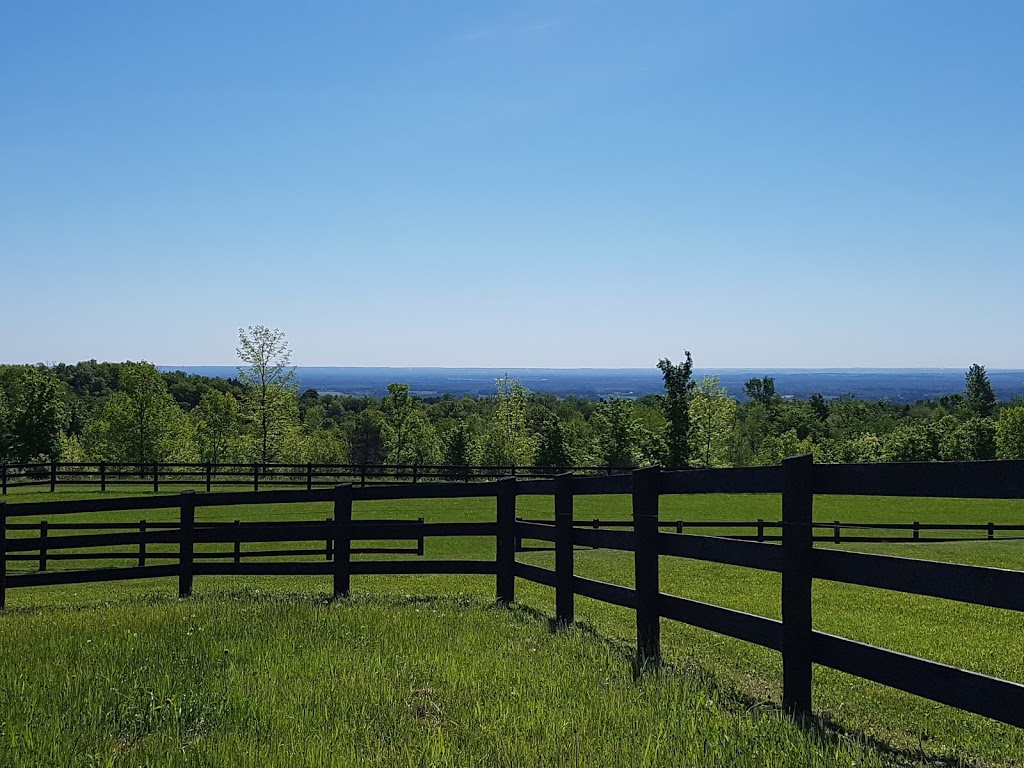 McGuire Fencing Limited | 6411 6 Line, Egbert, ON L0L 1N0, Canada | Phone: (705) 435-2770