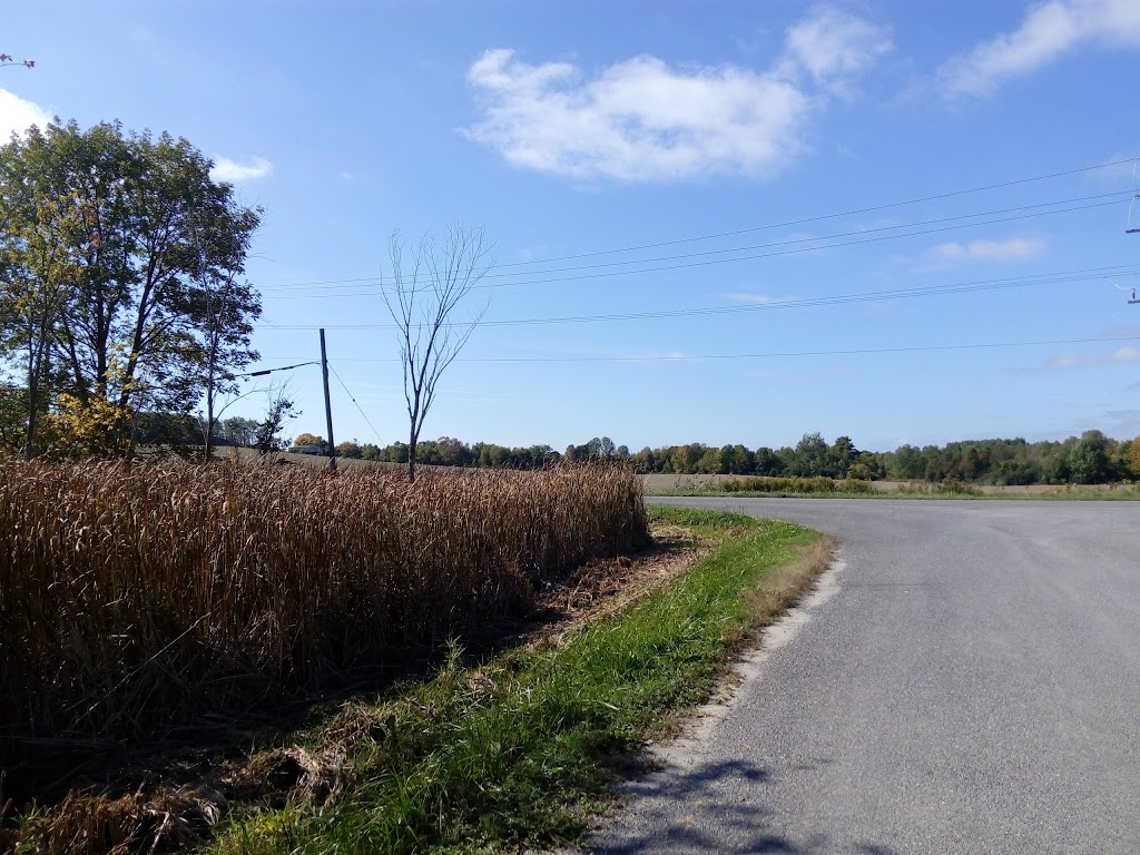 Darke Heating Ltd | 11 Earl St, Colborne, ON K0K 1S0, Canada | Phone: (905) 355-2502
