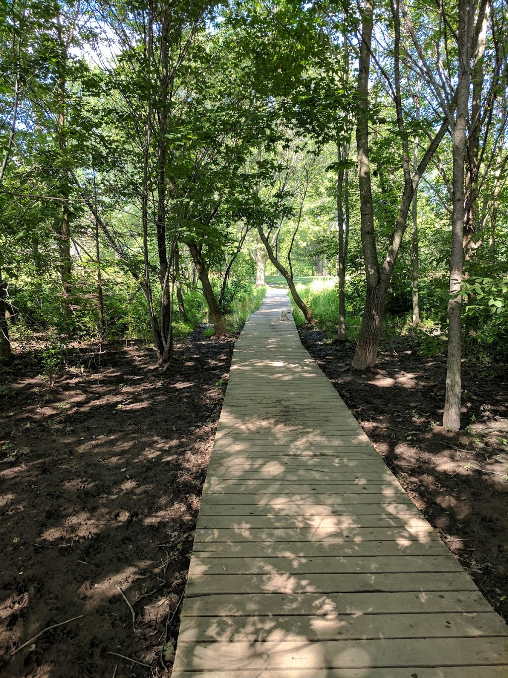 David Bartlett Park | 5201 McLean Crescent, Manotick, ON K4M 1G2, Canada