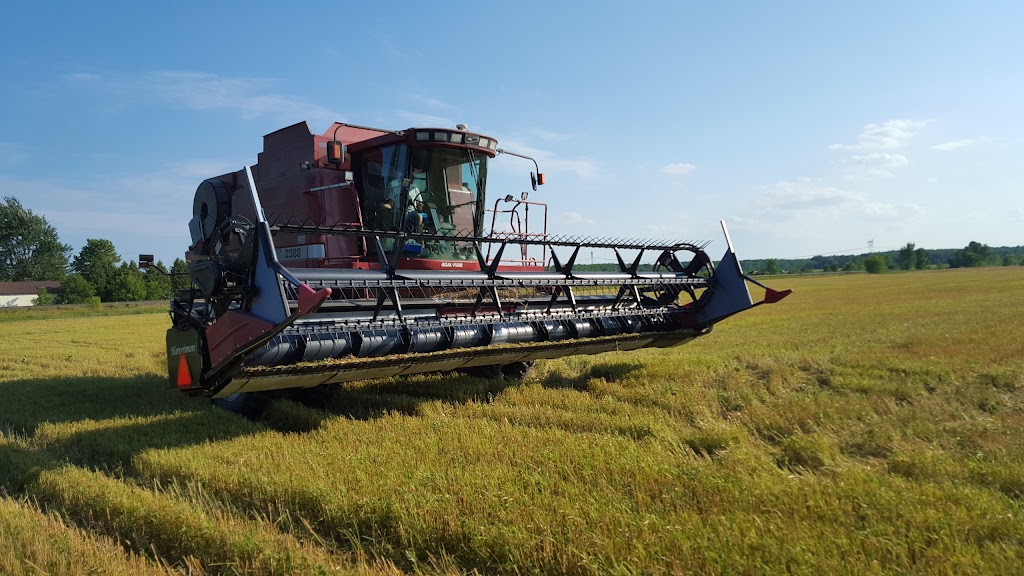 Fermes Longpres Ltee | 1854 Chem. du Fleuve, Les Cèdres, QC J7T 1E4, Canada | Phone: (450) 452-4559