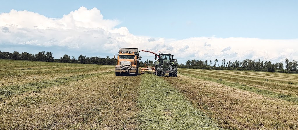 Letts Farm | 60231- Rge Rd, 11, Westlock, AB T7P 2N9, Canada | Phone: (780) 307-6211