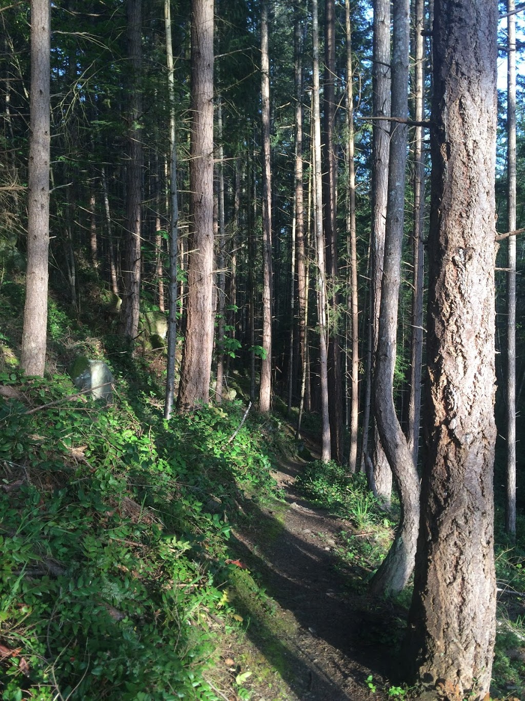 Capstan Lane Park | Pender Island, BC V0N 2M2, Canada