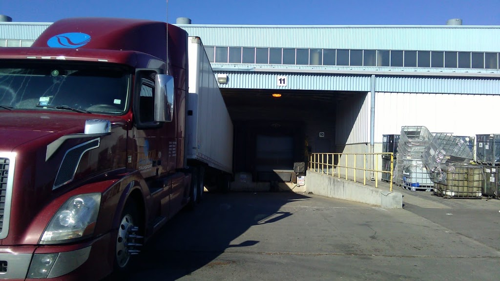 Pasha Transport | 2404 Haines Rd unit #20, Mississauga, ON L4Y 4B8, Canada | Phone: (905) 275-1101