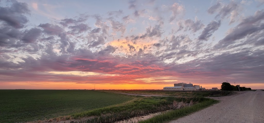 Prairie Flour Mills Ltd. | 11 Janzen Rd, Elie, MB R0H 0H0, Canada | Phone: (204) 353-2895