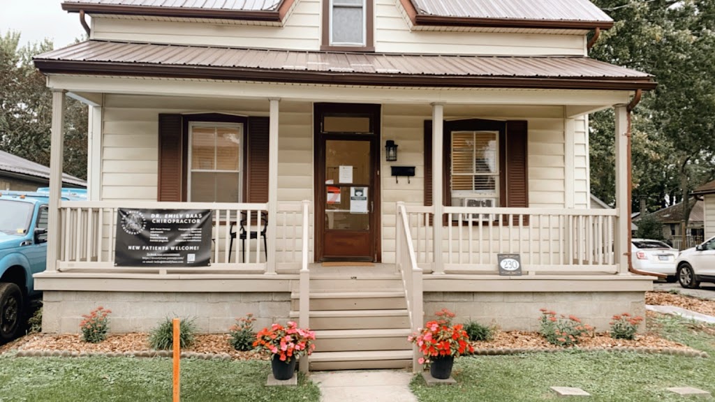 Dr. Emily Baas - Registered Chiropractor | 230 King St, Thorndale, ON N0M 2P0, Canada | Phone: (548) 388-3296