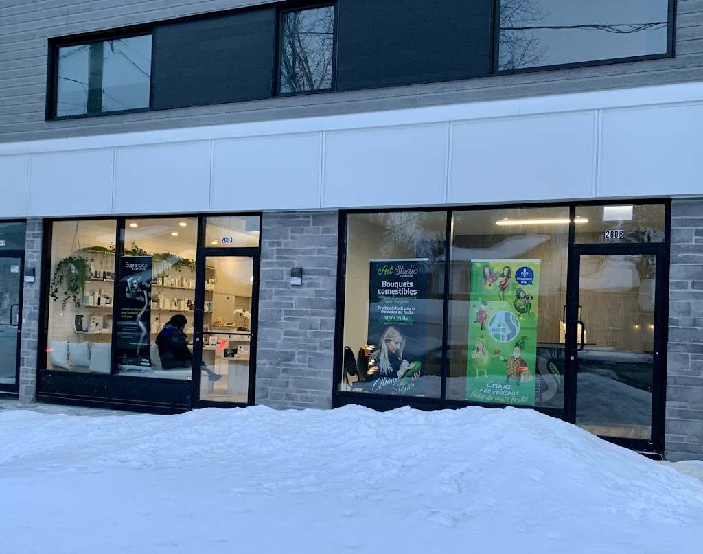 Art Studio / Aliona Stejar | 260-B Chem. des Anglais, Mascouche, QC J7L 3P2, Canada | Phone: (514) 378-6855