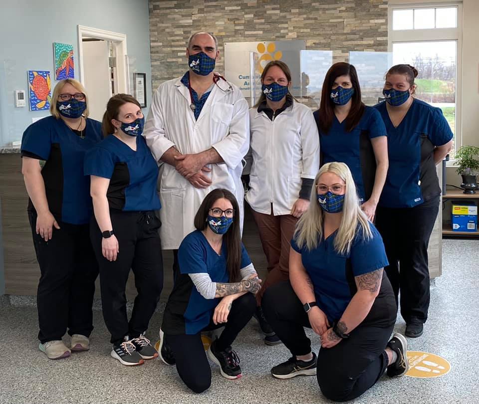 Cumberland County Animal Hospital | 16 Lord Amherst Dr, Amherst, NS B4H 4W6, Canada | Phone: (902) 612-2520
