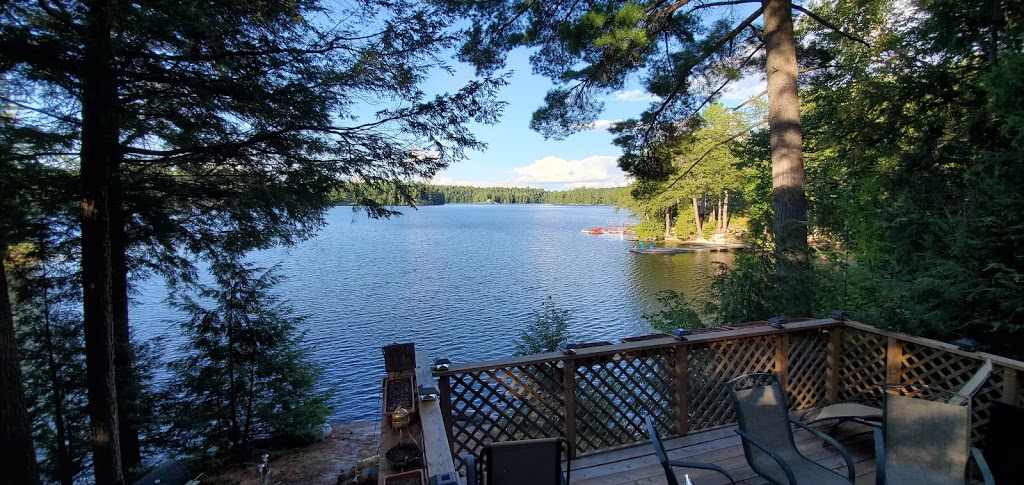 Muskoka Waterbikes | 1117 Stone Gate Ln, Bracebridge, ON P1L 1X1, Canada | Phone: (888) 973-6892