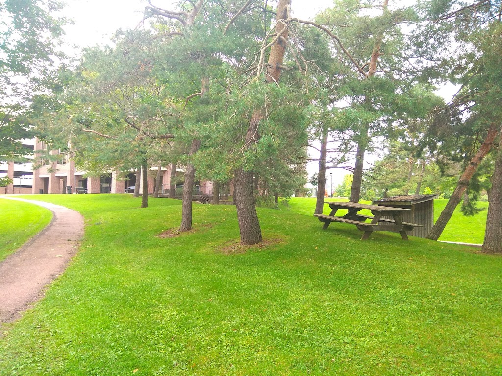 Carleton University | 1125 Colonel By Dr, Ottawa, ON K1S 5B6, Canada | Phone: (613) 520-2600