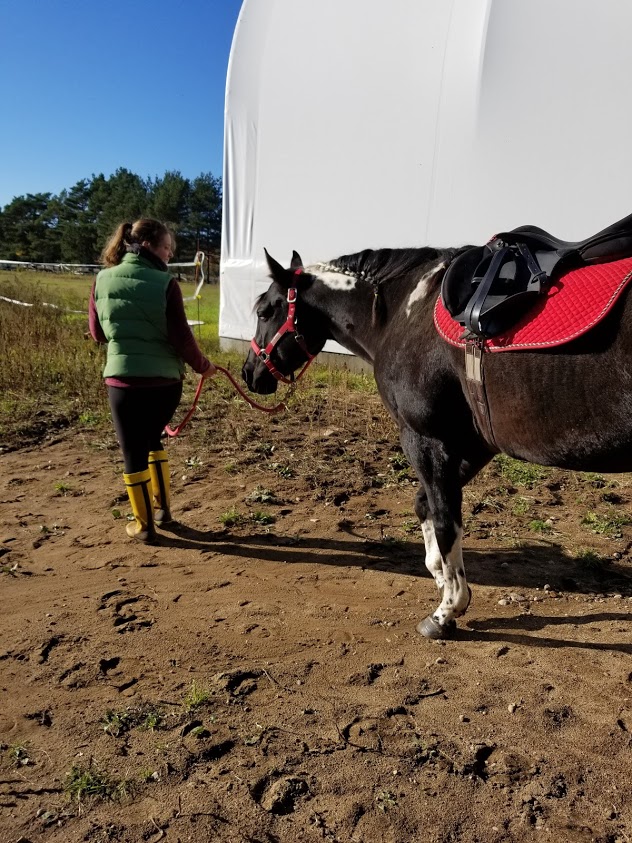 Corinne Gadras - Équitation R+ | 35 Rang Petit Fossambault, Pont-Rouge, QC G3H 2L8, Canada | Phone: (581) 984-1154