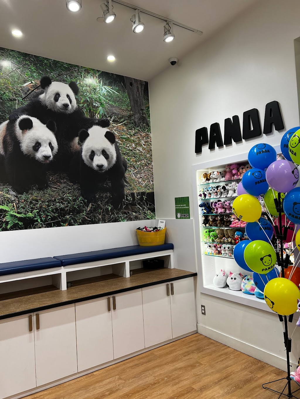Panda | 6815 Route Transcanadienne, Pointe-Claire, QC H9R 5J1, Canada | Phone: (514) 697-8372