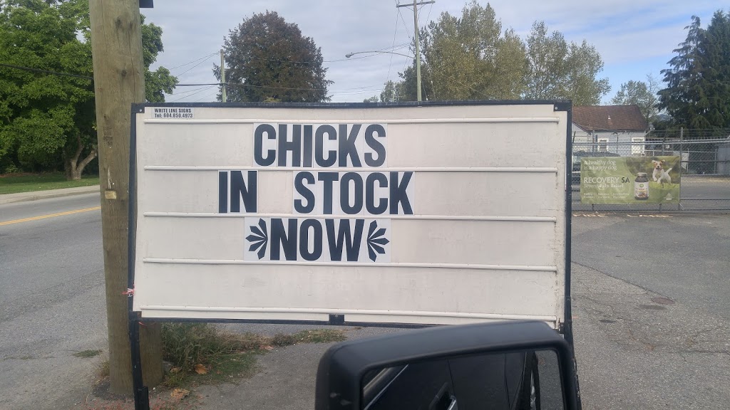 Mr. Pets | 33560 1 Ave, Mission, BC V2V 1H4, Canada | Phone: (604) 814-2994