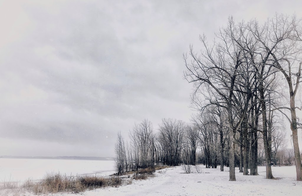 Marina aylmer park | Rte Verte 1, Gatineau, QC J9H 6J2, Canada