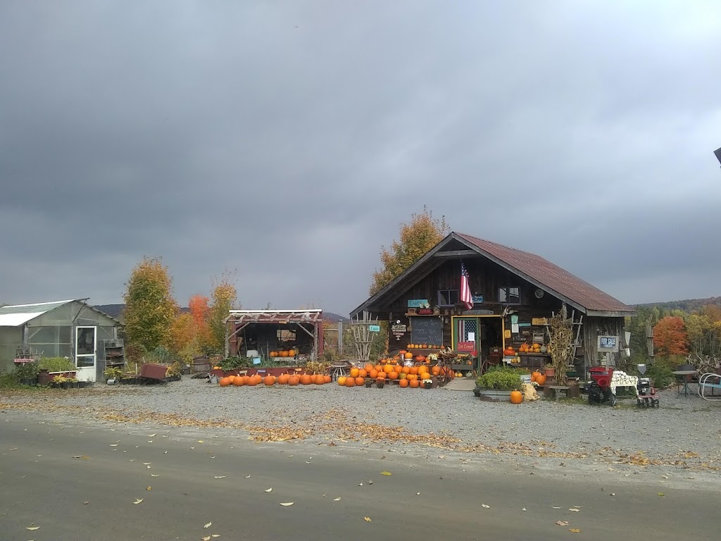Devaney farmstand | 3843 Hudson Rd, West Charleston, VT 05872, USA | Phone: (802) 895-4080