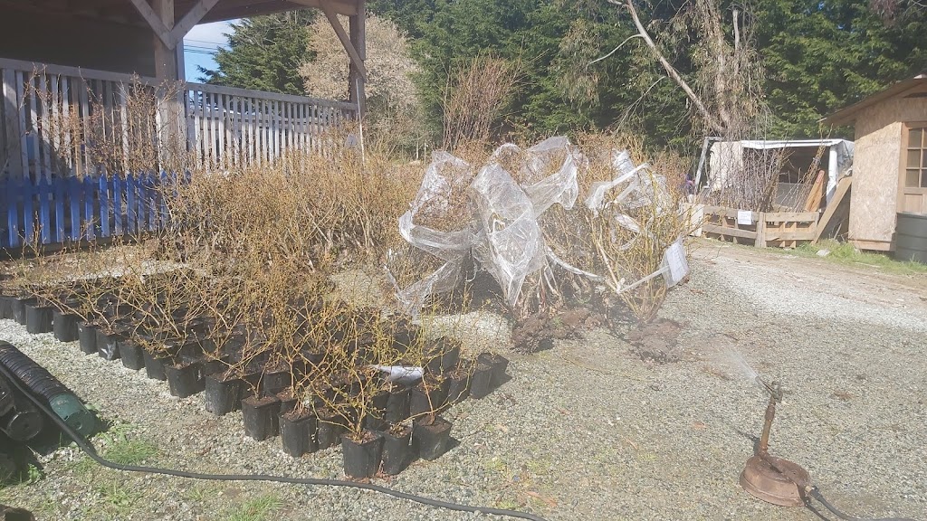 AG FARM & NURSERY | 6571 Oldfield Rd, Saanichton, BC V8M 1Y1, Canada | Phone: (250) 686-6614