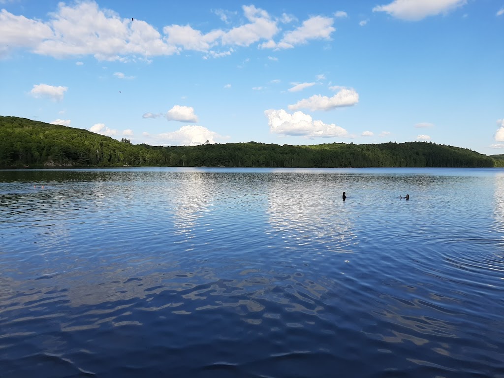 Robert Simpson Park | 400 John St N, Arnprior, ON K7S 2P6, Canada | Phone: (613) 623-7301