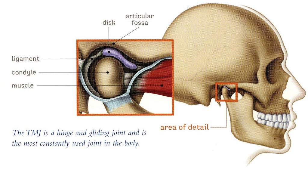 Sandalwood Dental | 50 Bristol Rd E, Mississauga, ON L4Z 3K8, Canada | Phone: (905) 568-4900
