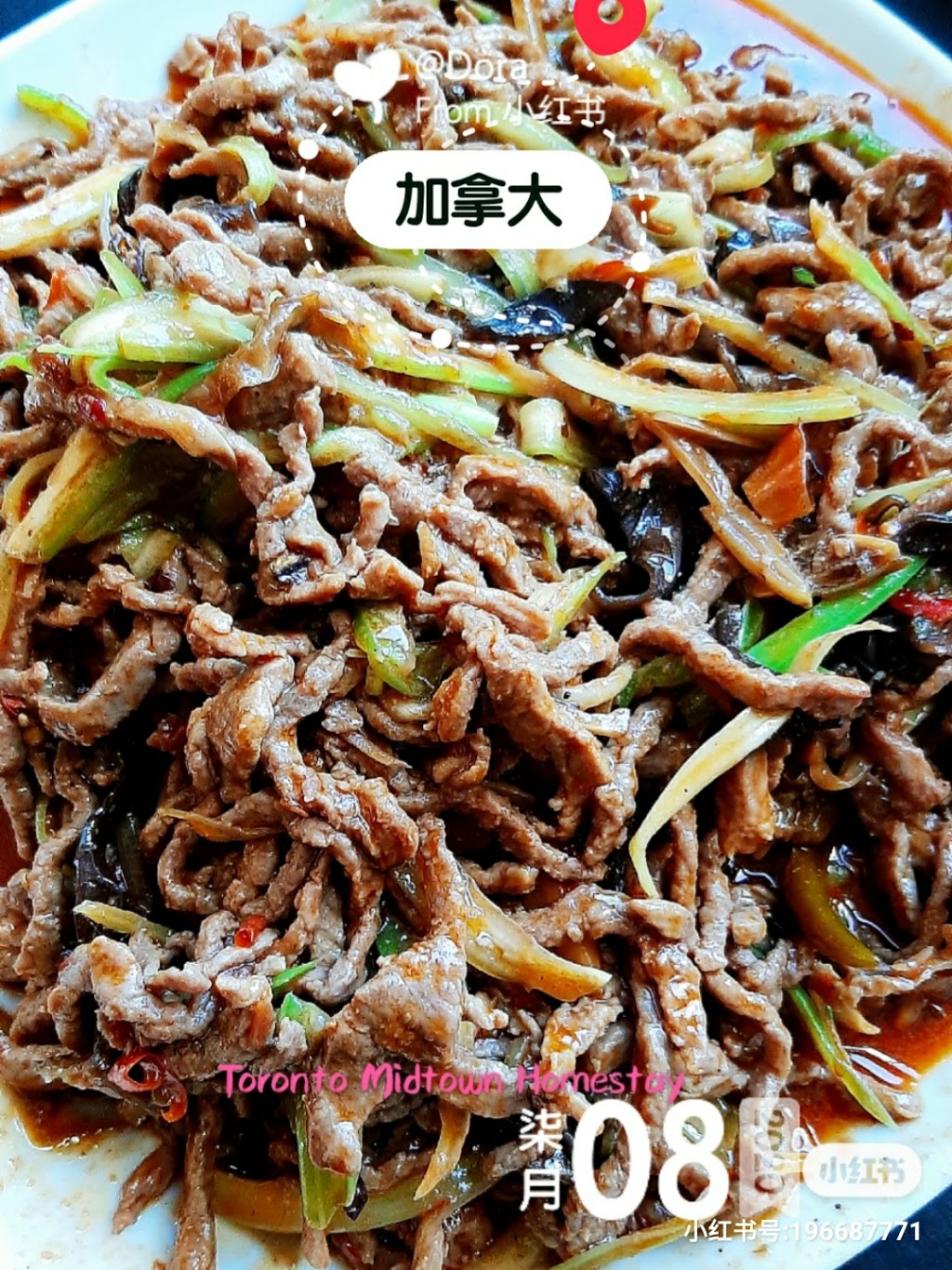 Toronto Midtown Homestay | 38 Tyrrel Ave, Toronto, ON M6G 2G2, Canada | Phone: (647) 779-3268