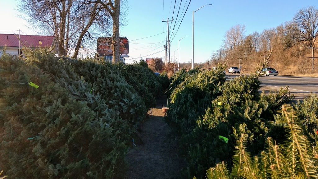 Rileys Garden Center | 2141 Bath Rd, Kingston, ON K7M 4Y3, Canada | Phone: (613) 389-0630