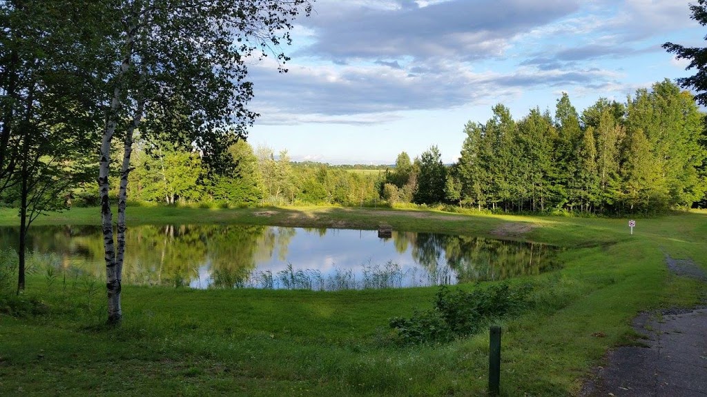 Camping Park Central | 29 Chemin des Domaines, Saint-Félix-de-Kingsey, QC J0B 2T0, Canada | Phone: (819) 848-2564
