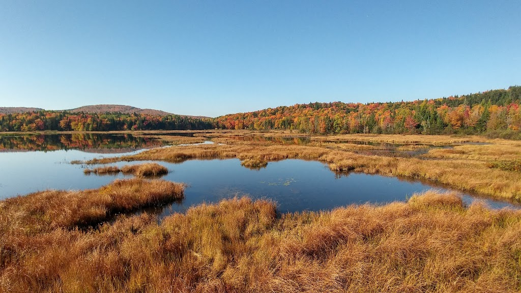 Marais du nord start | 1161 Chemin de la Grande Ligne, Stoneham-et-Tewkesbury, QC G3C 0Y3, Canada