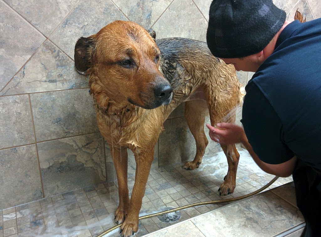 Pet Valu | 1160 Beaverwood Rd, Manotick, ON K4M 1L6, Canada | Phone: (613) 692-1769