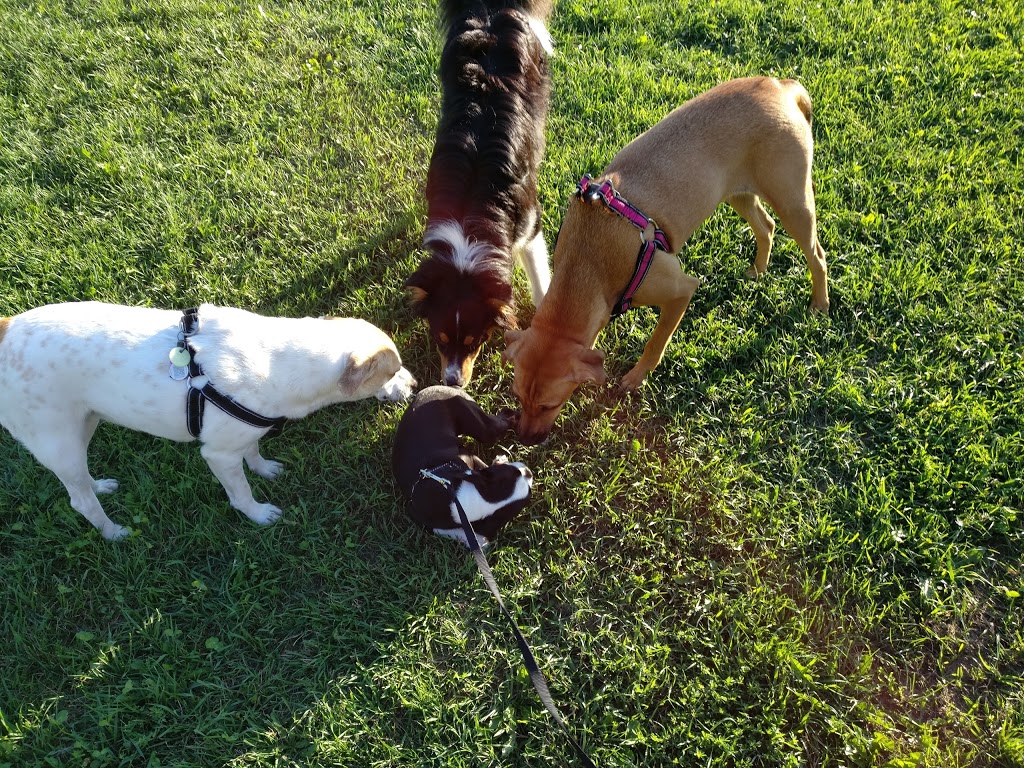 Fergus Dog Park | 840 Glengarry Crescent, Fergus, ON N1M 3W1, Canada