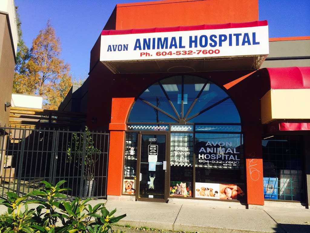 Avon Animal Hospital | 19475 Fraser Hwy, Surrey, BC V3S 6K7, Canada | Phone: (604) 532-7600