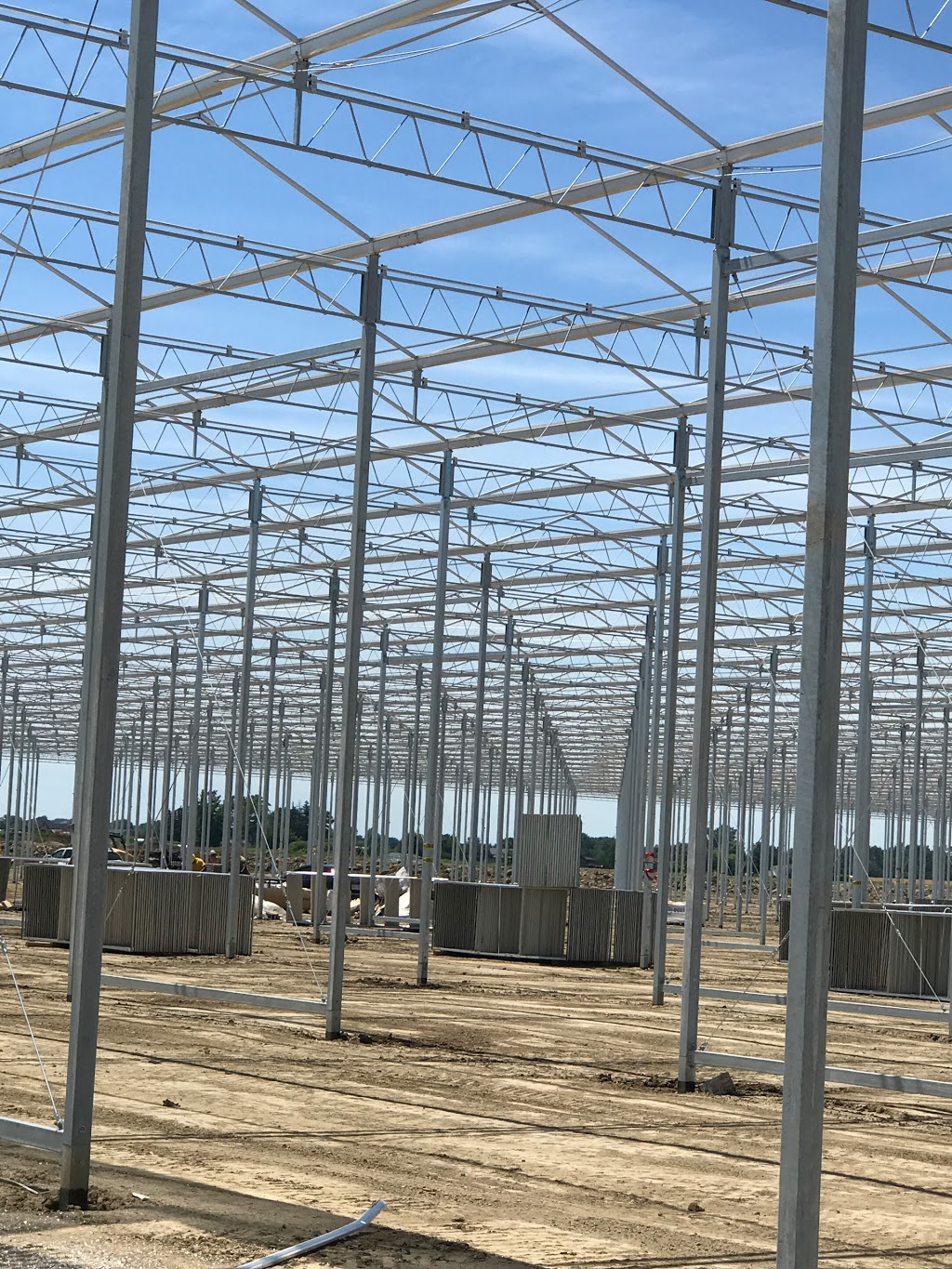 Ruthven Greenhouse Construction | 420 Essex Road 14, Leamington, ON N8H 3V8, Canada | Phone: (519) 326-8808