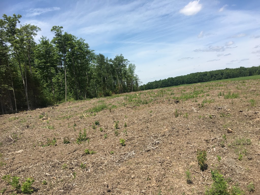 MARVARA | 7835 6 Line, Drayton, ON N0G 1P0, Canada | Phone: (519) 501-6571