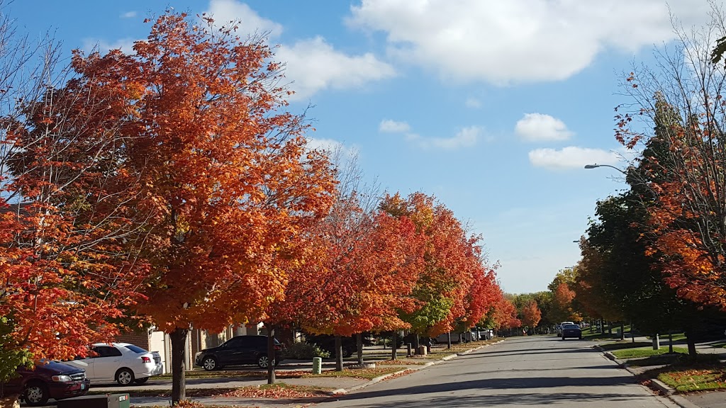 Silver Stream Park | 110 Shirley Dr, Richmond Hill, ON L4S 1Y7, Canada | Phone: (905) 771-8870