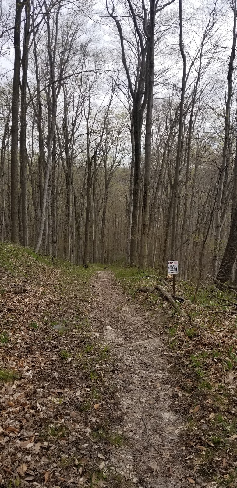 Morris Tract Provincial Nature Reserve | 36833 Londesboro Rd, Goderich, ON N7A 3Y1, Canada | Phone: (519) 243-2220