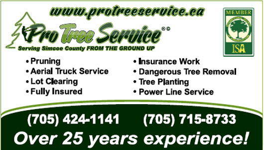 Pro Tree Service | 8071 4 Line, Angus, ON L0M 1B0, Canada | Phone: (705) 424-1141