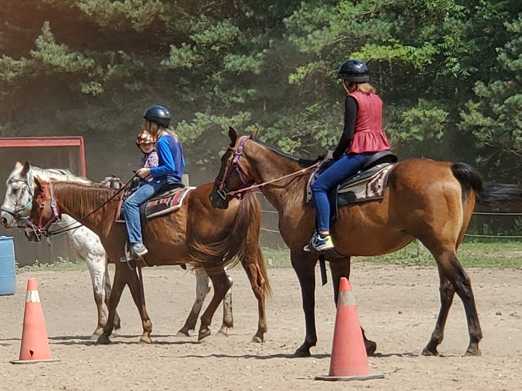 Darkin Riding Stables | 6253 Brown Rd, Port Burwell, ON N0J 1T0, Canada | Phone: (519) 280-1819