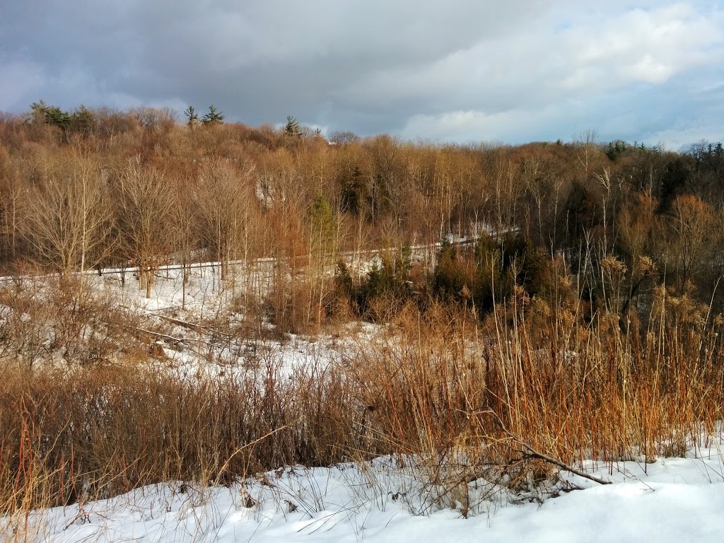 Hinder Property | Willowdale, Toronto, ON, Canada