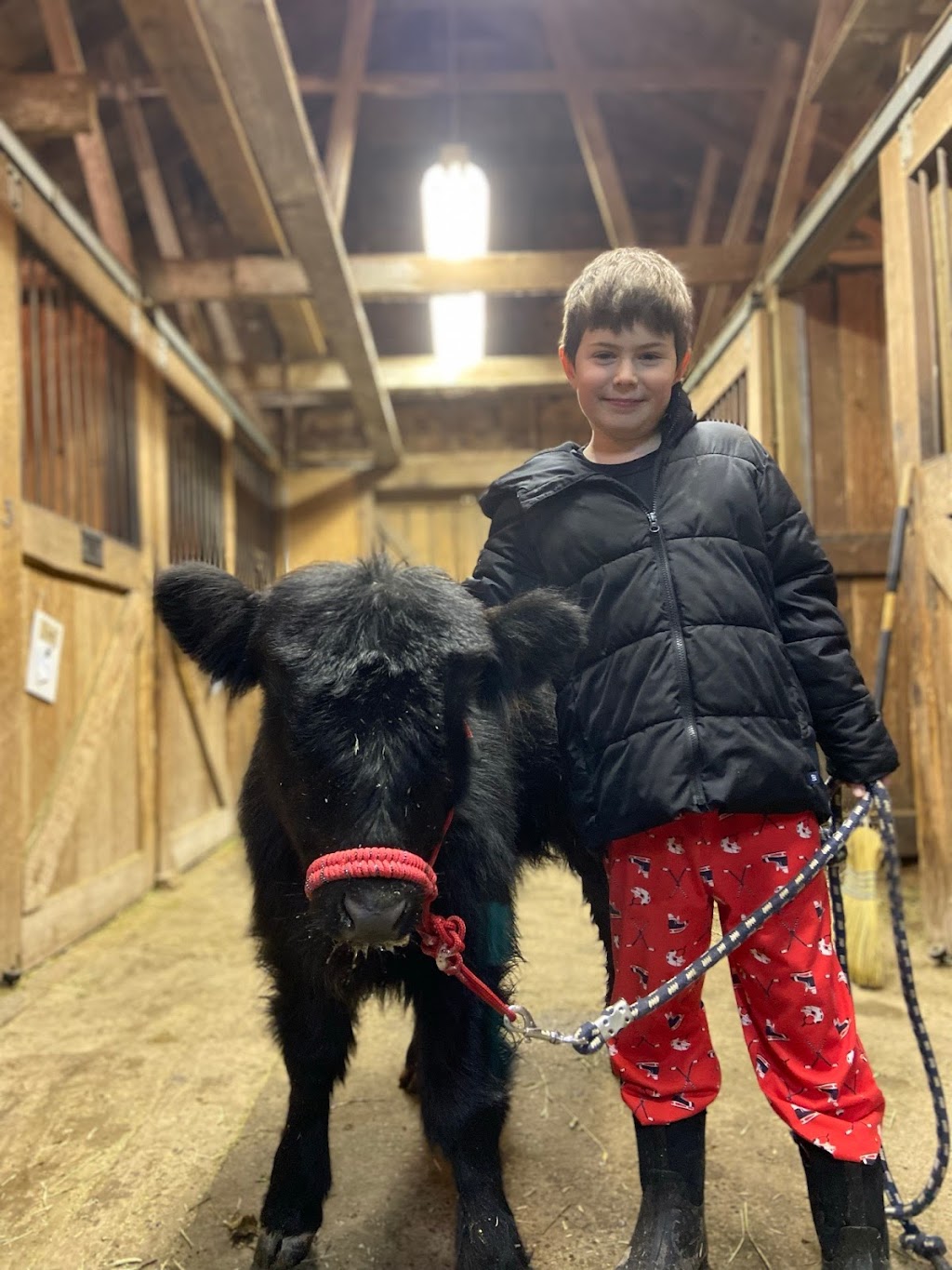 Unbridled Discovery Farm | 36936 McKamey Rd, Fraser Valley, BC V2V 6T1, Canada | Phone: (604) 613-2279