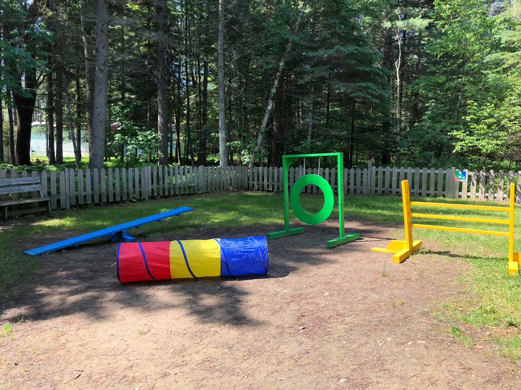 Camping De La Diable | 140 Rue Régimbald, Mont-Tremblant, QC J8E 3C5, Canada | Phone: (819) 425-5501