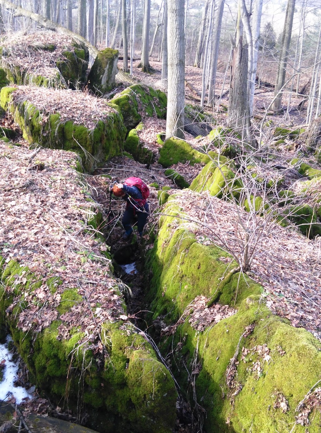 Mountainview Conservation Area | 4174 Mountainview Rd, Beamsville, ON L0R 1B2, Canada