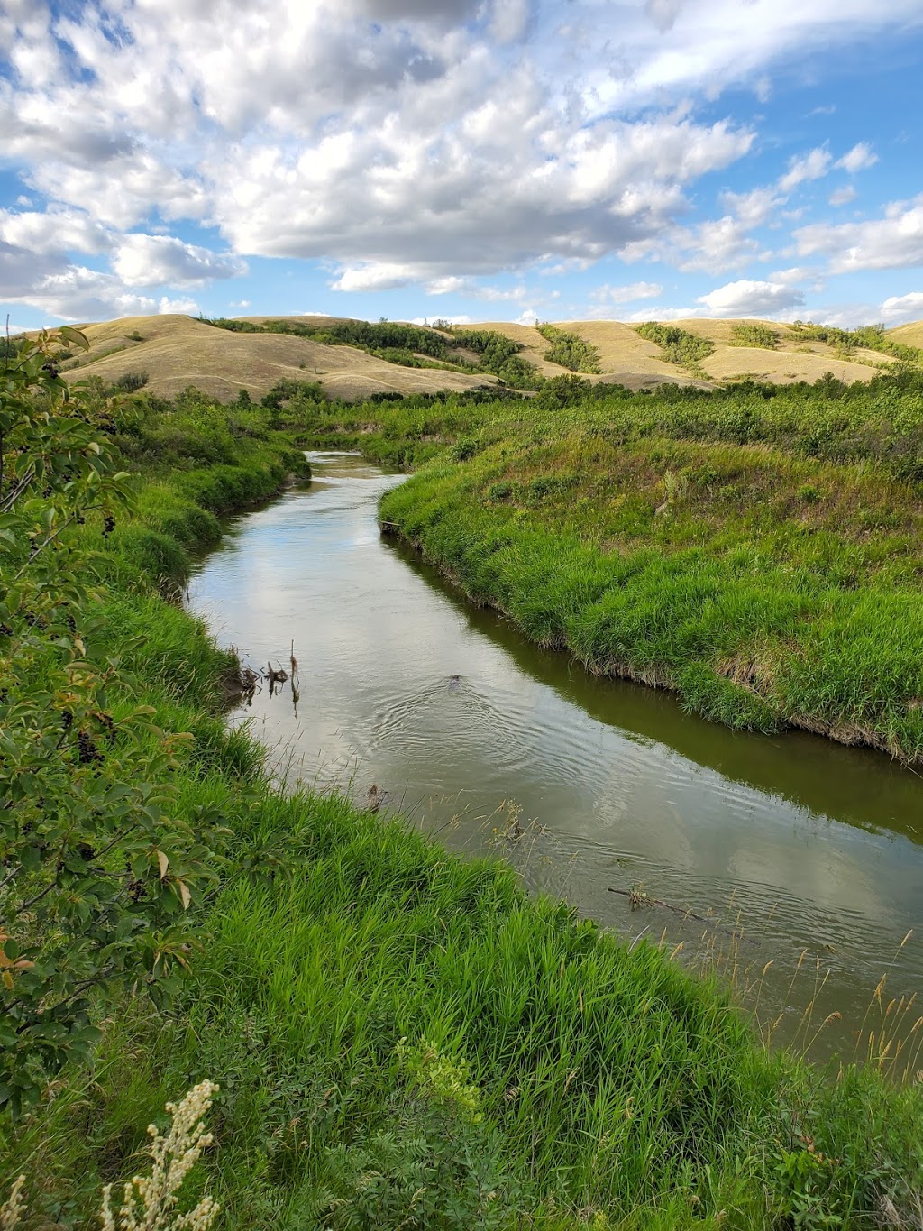 Buffalo Pound Provincial Park | Moose Jaw No. 161, SK S6H 6V2, Canada | Phone: (306) 694-3320