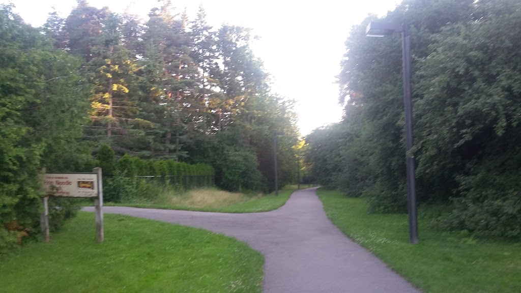 Russell Tilt Park | 35 Blackforest Dr, Richmond Hill, ON L4E 2N8, Canada | Phone: (905) 771-8800