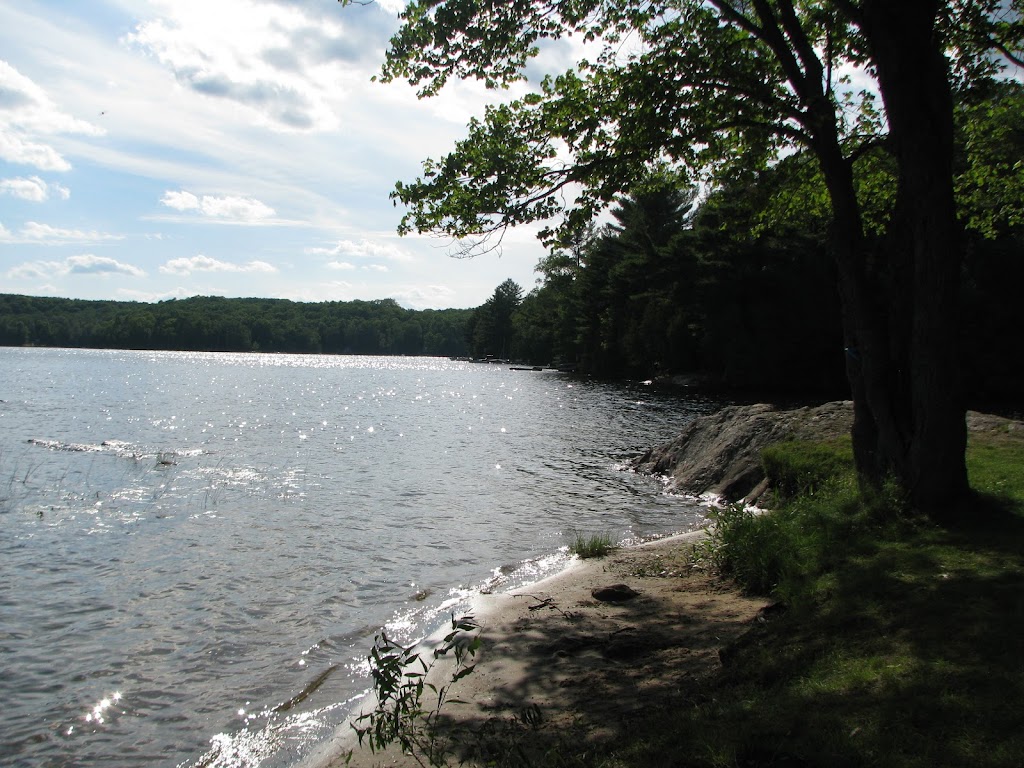 Glamour Lake Park | 2293 Glamorgan Rd, Gooderham, ON K0M 1R0, Canada | Phone: (705) 448-2981