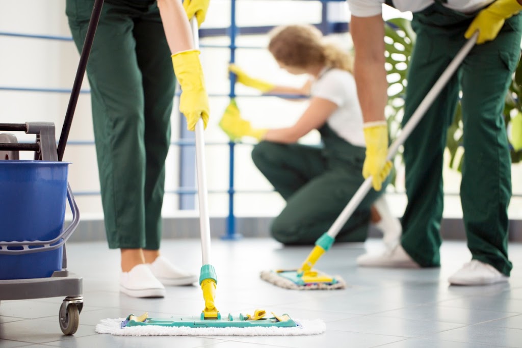 True maids | 12349 233 St, Maple Ridge, BC V2X 0C6, Canada | Phone: (236) 867-3200