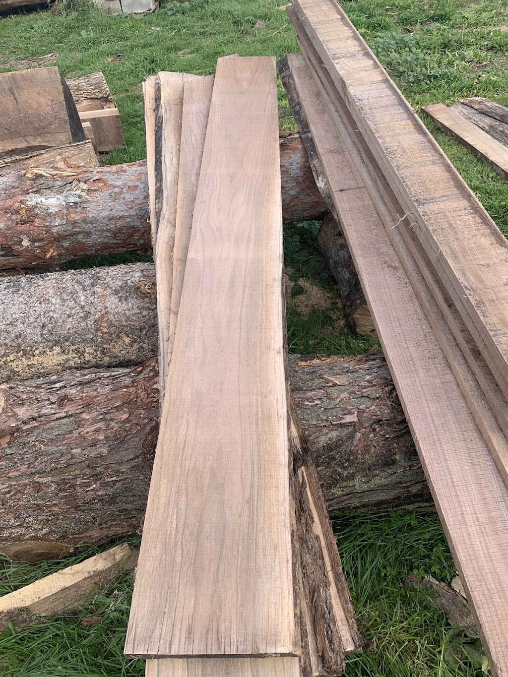 P&H Firewoodsharpingservice | 364592 McBeth Rd, Salford, ON N0J 1W0, Canada | Phone: (226) 970-3390