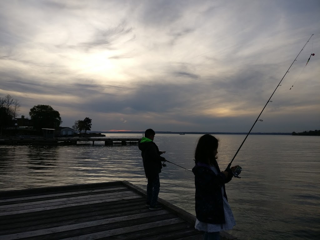 Island Grove Marina | 987 Lake Dr N, Keswick, ON L4P 3E9, Canada | Phone: (905) 476-7600
