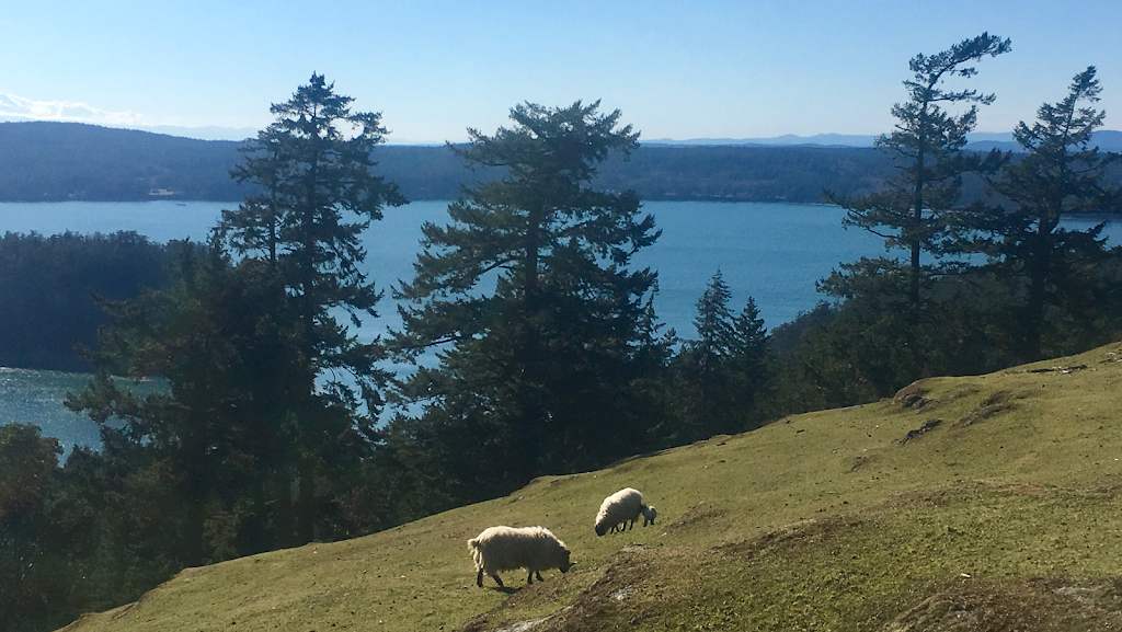 Sarah Jones Real Estate | 1 Rosehedge Farm, Decatur Island, Anacortes, WA 98221, USA | Phone: (360) 588-6022