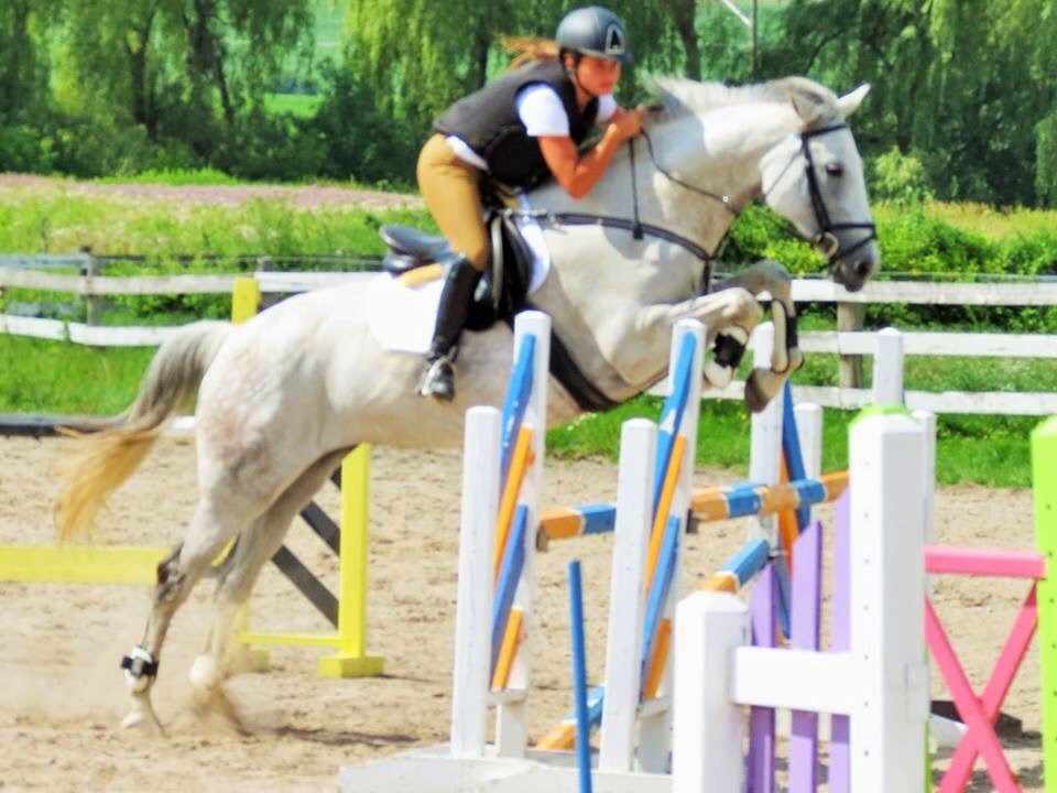 Springfield Stables Riding Academy | 7143 Ashburn Rd, Whitby, ON L1M 1L6, Canada | Phone: (905) 655-4280