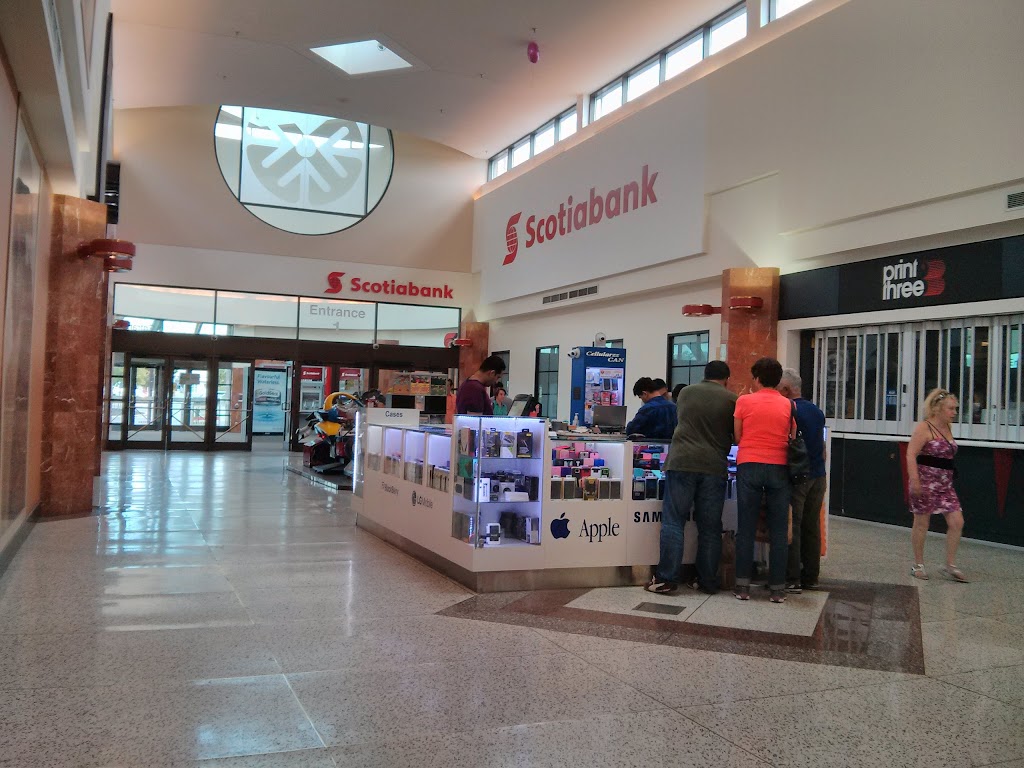 Scotiabank | 6416 Yonge St, North York, ON M2M 3X4, Canada | Phone: (416) 590-7488
