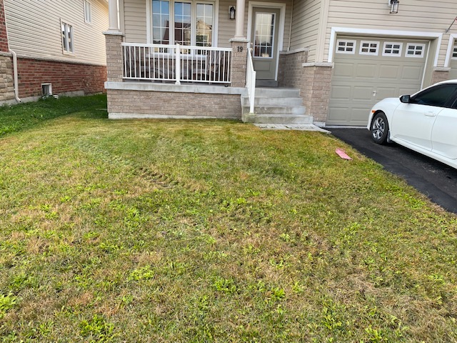 ltd property services | 339 Pefferlaw Rd, Georgina, ON L0E 1N0, Canada | Phone: (416) 574-6427